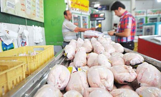 مصرف گوشت مرغ در کشور چقدر کاهش یافته است؟