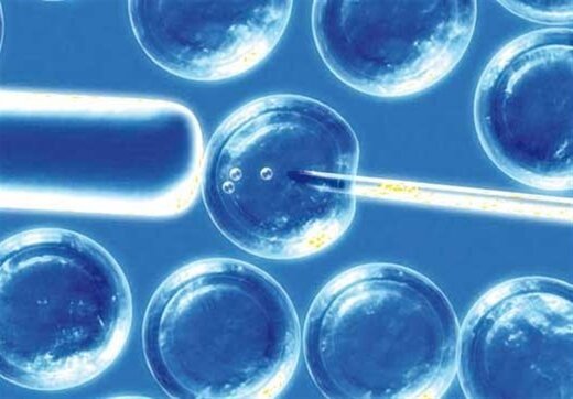 دانش پول‌ساز در دست‌انداز! / سهم محصولات دانش ‎بنیان از صادرات فقط 2.5 درصد است،چرا؟