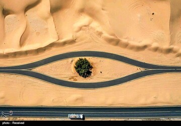 جهان در قرنطینه