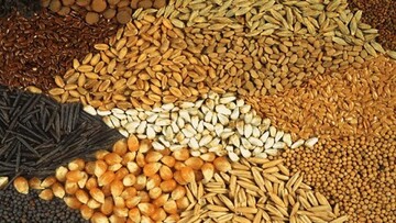 ۲۰۰ هزار تن خوراک آبزیان در چهارمحال و بختیاری تولید شد