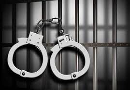 عامل انتشار کلیپ دروغین درباره شیوع ویروس کرونا دستگیر شد
