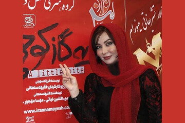 فقیهه سلطانی از سرنوشت «یه گاز کوچولو» گفت