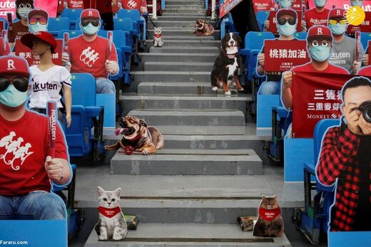 برگزاری مسابقات بیسبال تایوان با تماشاگران ربات