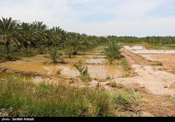 تصاویر بلایی که سیل بر سر این روستاهای کرمان آورد