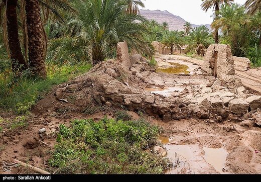 ببینید | تصاویر بلایی که سیل بر سر این روستاهای کرمان آورد 10