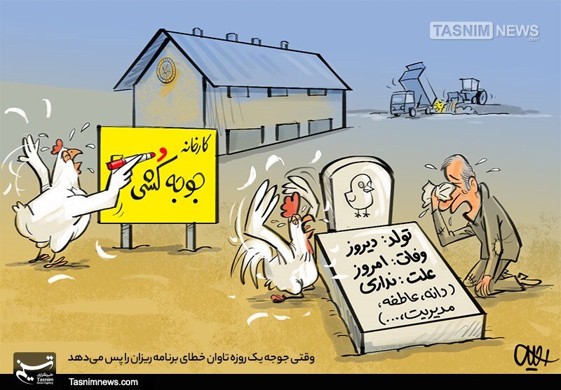 اینجا کاخونه جوجه کِشی هست یا جوجه کُشی؟!