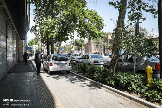 معضلی بنام جای پارک