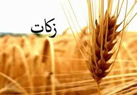  پرداخت ۱۹ میلیارد تومان زکات در لرستان