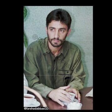 قلعه نویی