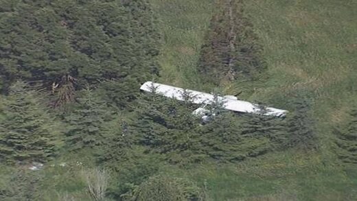 عکس | نخستین تصاویر از هواپیمای سقوط کرده پلیس که دو خلبانش به شهادت رسیدند