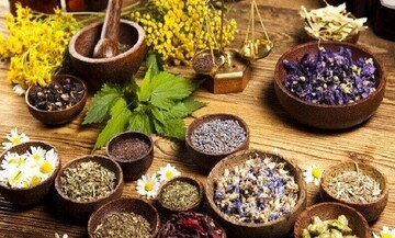 معاون فنی منابع طبیعی همدان: برداشت گیاهان دارویی در جنگل ها و مراتع همدان ممنوع است