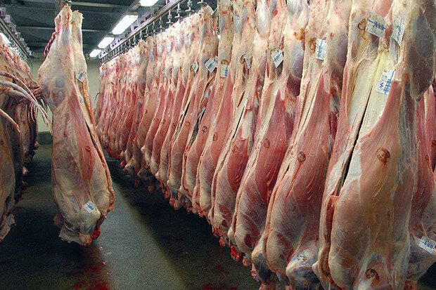 توزیع بیش از ۵ هزار تُن گوشت گرم گوسفندی تنظیم بازار در مشهد