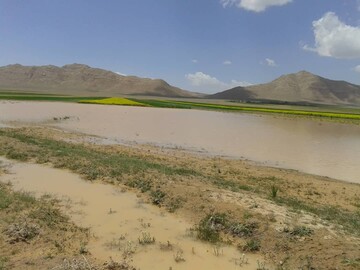 خسارت بیش از ۳۳ میلیارد ریالی سیل به بهمن
