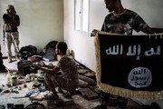 تعداد داعشی ها در مناطق مرزی چقدر است؟
