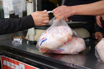 قیمت مرغ و بوقلمون در بازار ماه رمضان