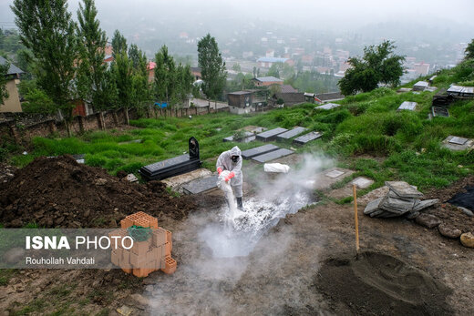 کرونا همچنان قربانی می‌گیرد...