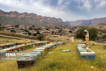 سردشت دزفول