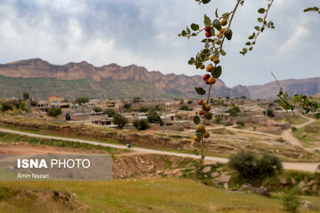 سردشت دزفول