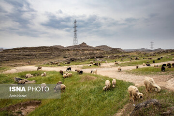 سردشت دزفول