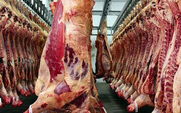 جدیدترین قیمت گوشت در بازار را ببینید/ قیمت ران گوسفندی چند؟