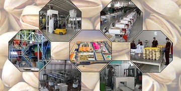 کلیه مجوزهای صنایع تبدیلی وغذایی تا پایان خرداد ماه تمدید شد