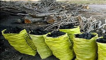 کشف یک انبار چوب جنگلی غیرمجاز در لردگان