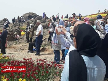 بازدید از گل‌های لزور روستای کندر ممنوع شد