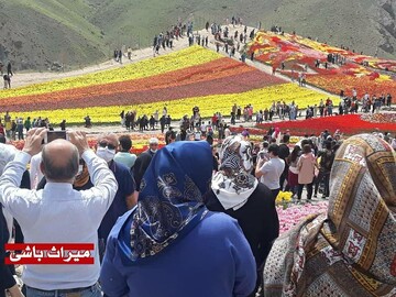 بازدید از گل‌های لزور روستای کندر ممنوع شد