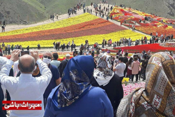 تصاویر | بازدید از این گل‌ها ممنوع شد