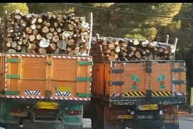 توقیف کامیون حامل چوب قاچاق در کازرون