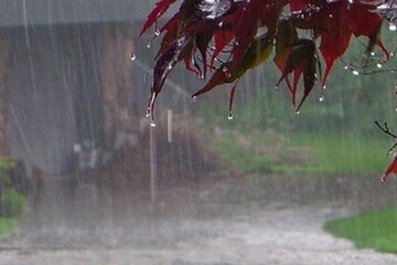 ۹۰ درصد بارش سال آبی آذربایجان‌شرقی تامین شده است