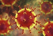 تشخیص بین آنفلوآنزا و کرونا نگرانی اصلی فصل زمستان است
