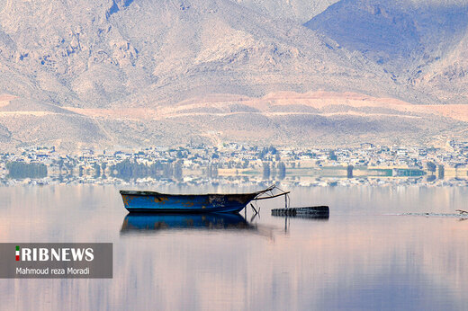 پرواز فلامینگو‌ها بر فراز دریاچه مهارلوی شیراز