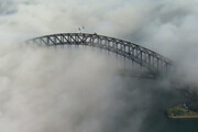 ببینید | مه شدید پل معروف سیدنی را بلعید