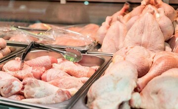 نرخ هر کیلو گوشت مرغ در میادین میوه و تره بار چقدر است؟