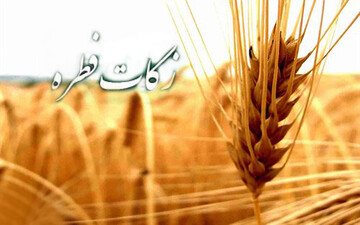 پرداخت فطریه به صورت الکترونیکی