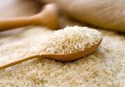 خبر مهم درباره قیمت جدید برنج/ قربانی: وارد بازار برنج شدیم