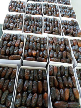 خرید ۸تن خرما از منطقه جنوب کرمان 