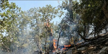 ادامه تلاش برای مهار آتش در ارتفاعات گچساران مراتع و جنگلهای این منطقه 