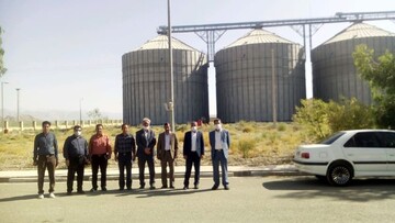 بازدید رئیس سازمان جهاد کشاورزی استان کرمان از تحویل گندم به سیلوهای شهرستان ارزوئیه