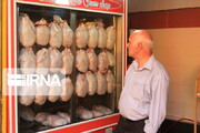 وزن مرغ‌های عرضه شده در بازار باید کمتر از ۱۶۰۰ گرم باشد