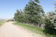 پیش‌بینی وزش باد شدید در زنجان