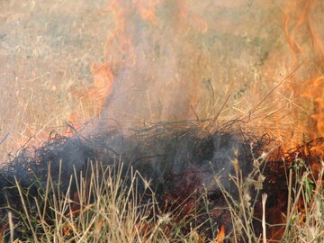 کشاورزان از آتش زدن در مزارع کشاورزی خودداری کنند