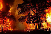 ببینید | آتش در جنگل خسرج همچنان زبانه می کشد!