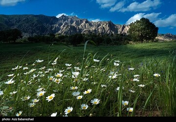 مهراب کوه - لرستان