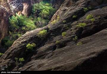 مهراب کوه - لرستان