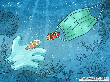 ببینید: ماسک و دستکش شما چه بلایی سر ما آورد! 