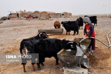 محاسبه تعرفه آزاد آب برای مصرف دام در روستاهای خراسان شمالی