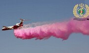 پرواز بالگردهای هوانیروز ارتش و سپاه برای خاموش کردن آتش جنگل‌های بوشهر و خوزستان