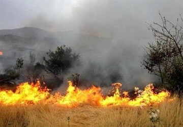 کنترل آتش‌سوزی جنگل‌های «نیر»؛ خطر همچنان وجود دارد